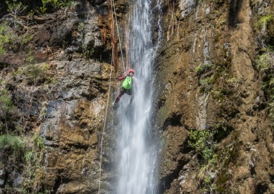 Canyon Gobert intégral