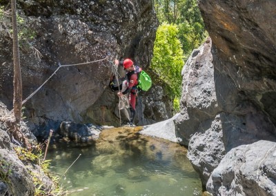 Canyon Gobert intégral