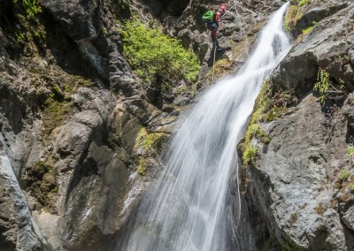 Canyon Gobert intégral