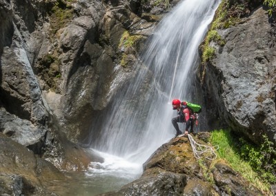 Canyon Gobert intégral