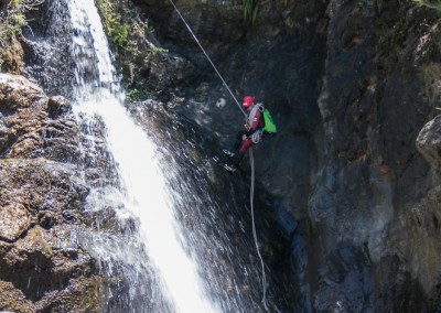 Canyon Gobert intégral