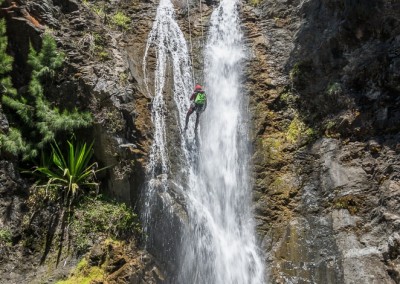 Canyon Gobert intégral