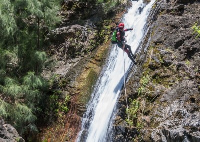 Canyon Gobert intégral