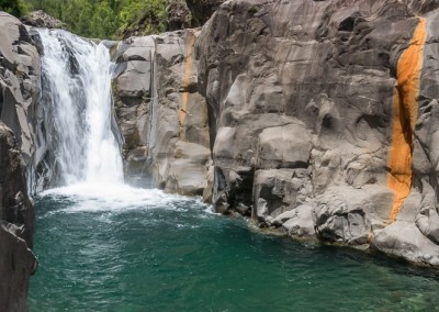 Canyon Gobert intégral