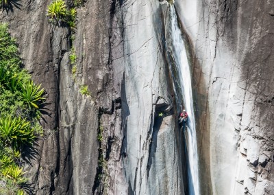 fleur jaune canyoning