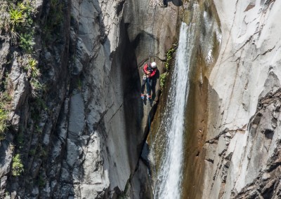 canyon fleur jaune