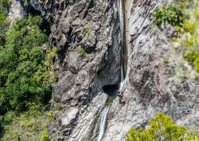 canyon fleur jaune