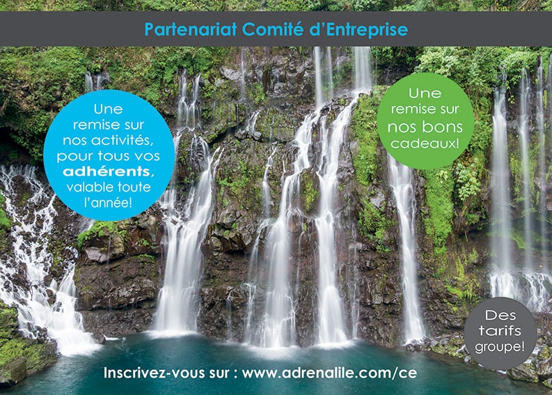 comité entreprise