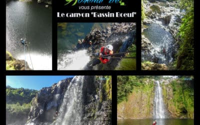 Etat des Canyons à La Réunion