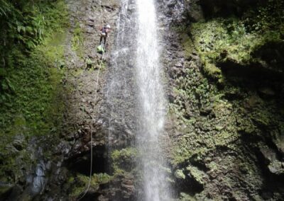 canyon expert