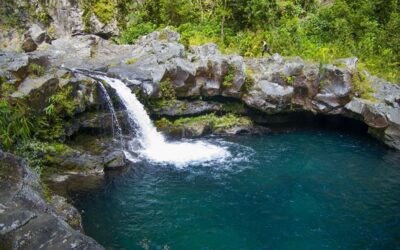 Exploration des Ravines : L’Histoire Captivante du Canyoning à La Réunion