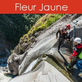 canyon-fleur-jaune-reunion