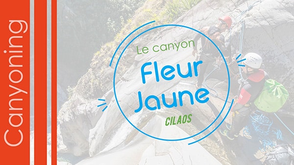 video-canyon-fleur-jaune