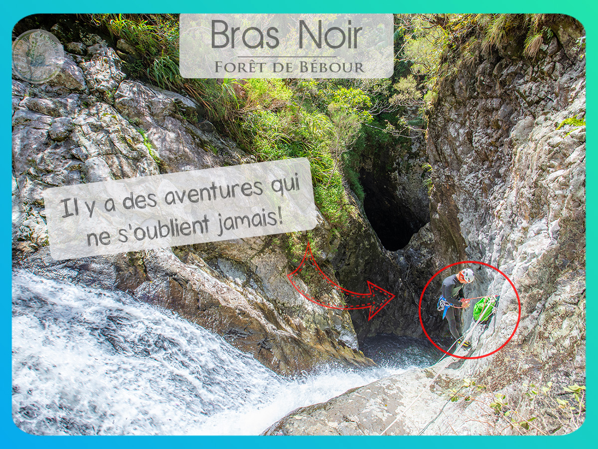 canyon bras noir