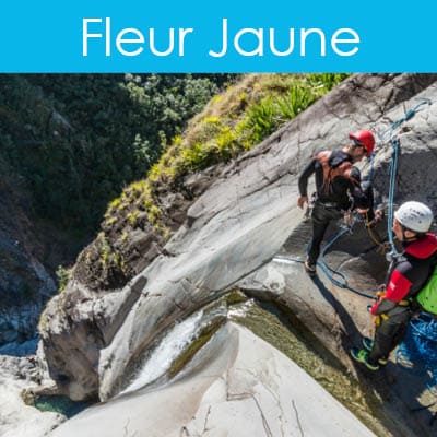 canyon-fleur-jaune Cilaos